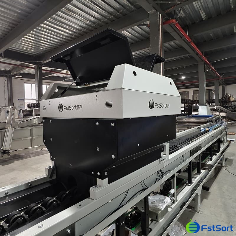 images/1713163635400mango vision sorting machine.jpg